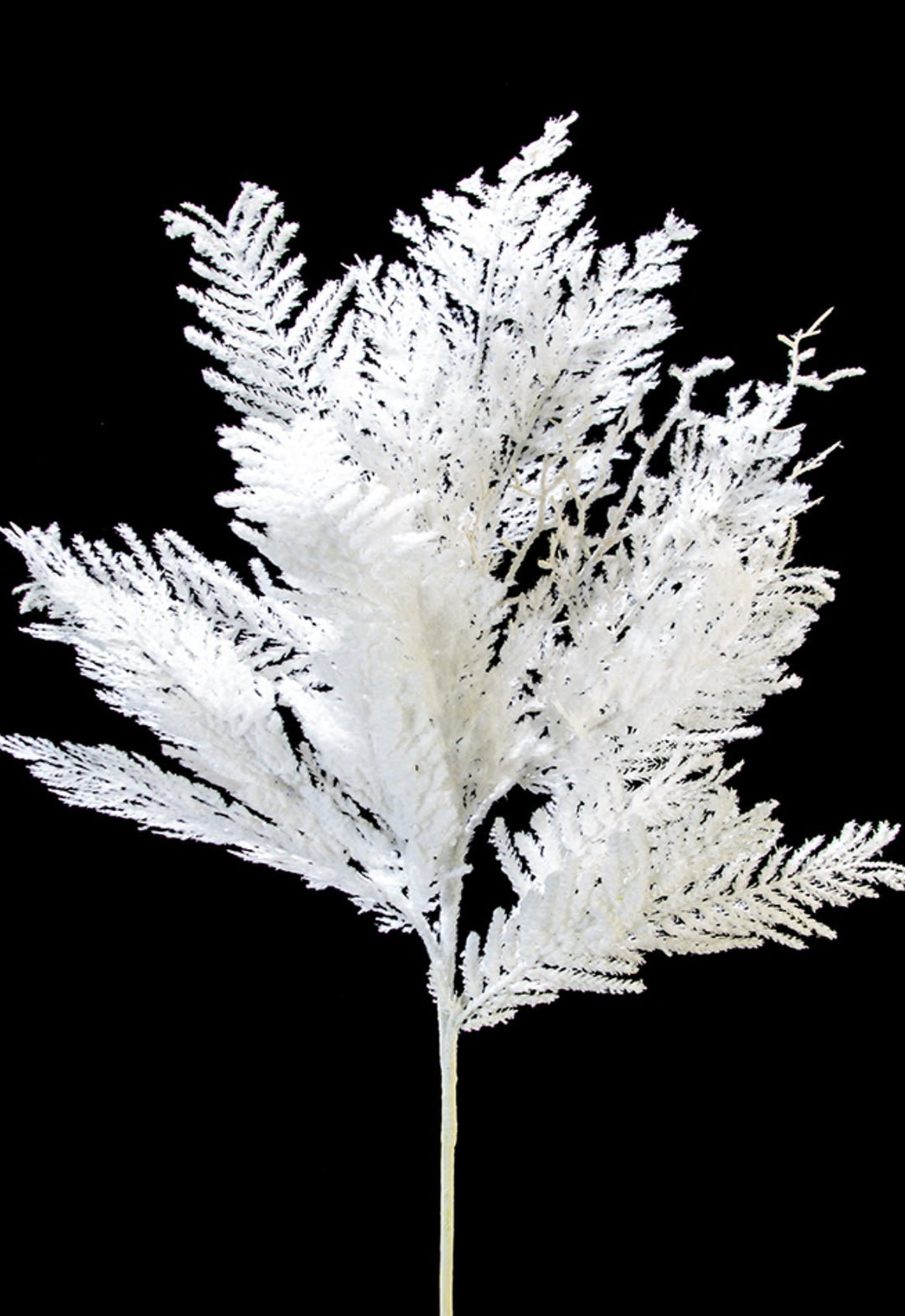Flocked White Snowy Cedar Branch - 26" - Greenery Market2825256WH
