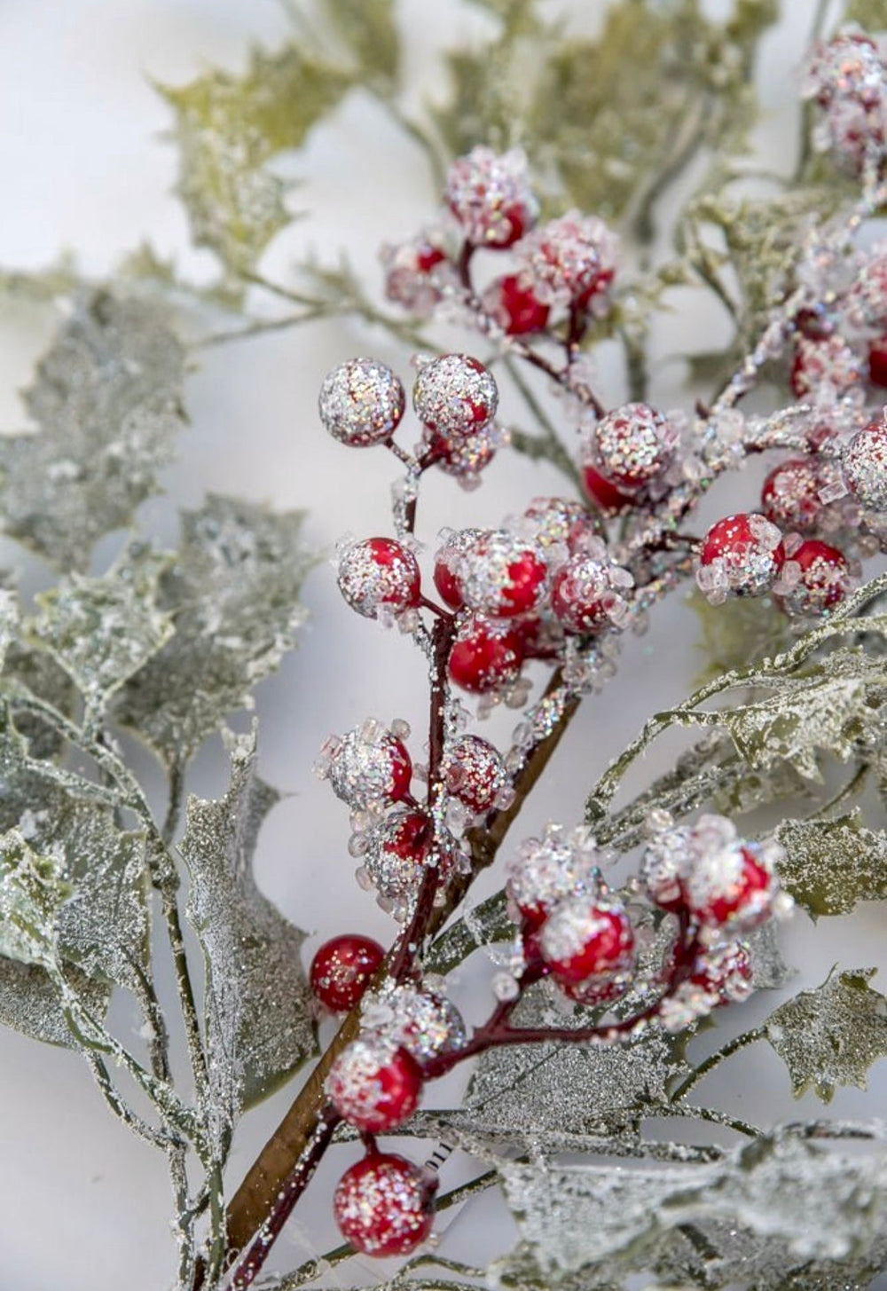 Frosted and iced Holly bush - Greenery MarketWinter and Christmas20117