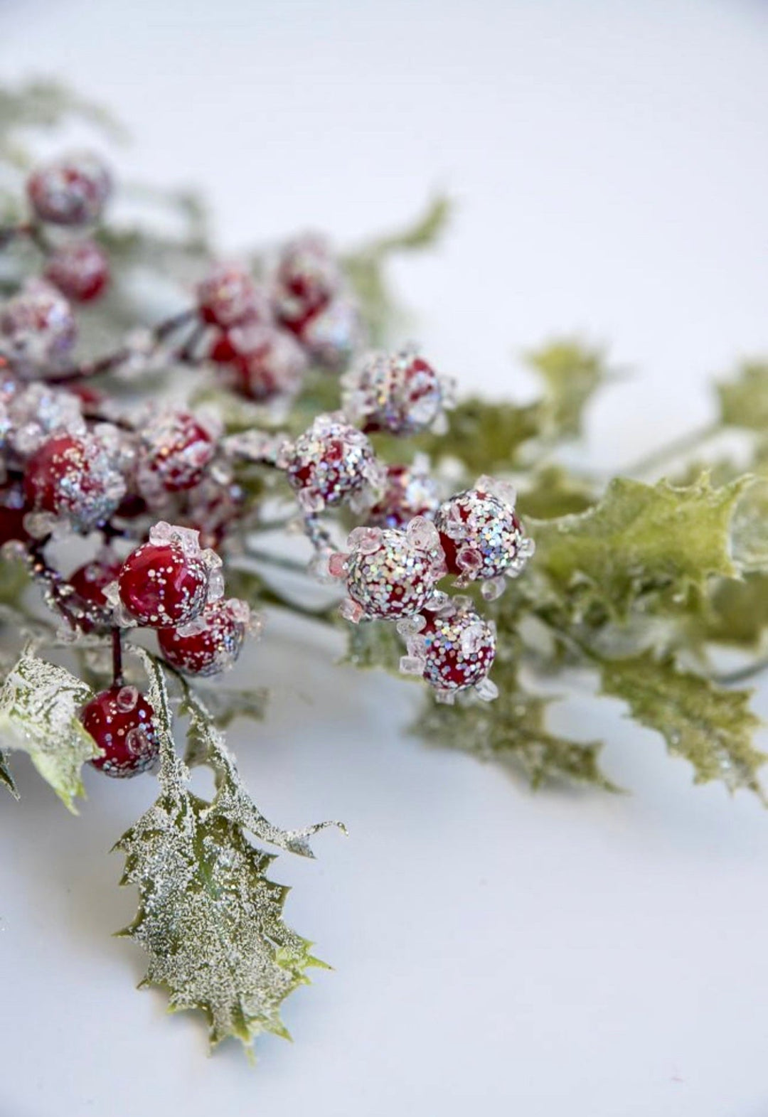 Frosted and iced Holly bush - Greenery MarketWinter and Christmas20117