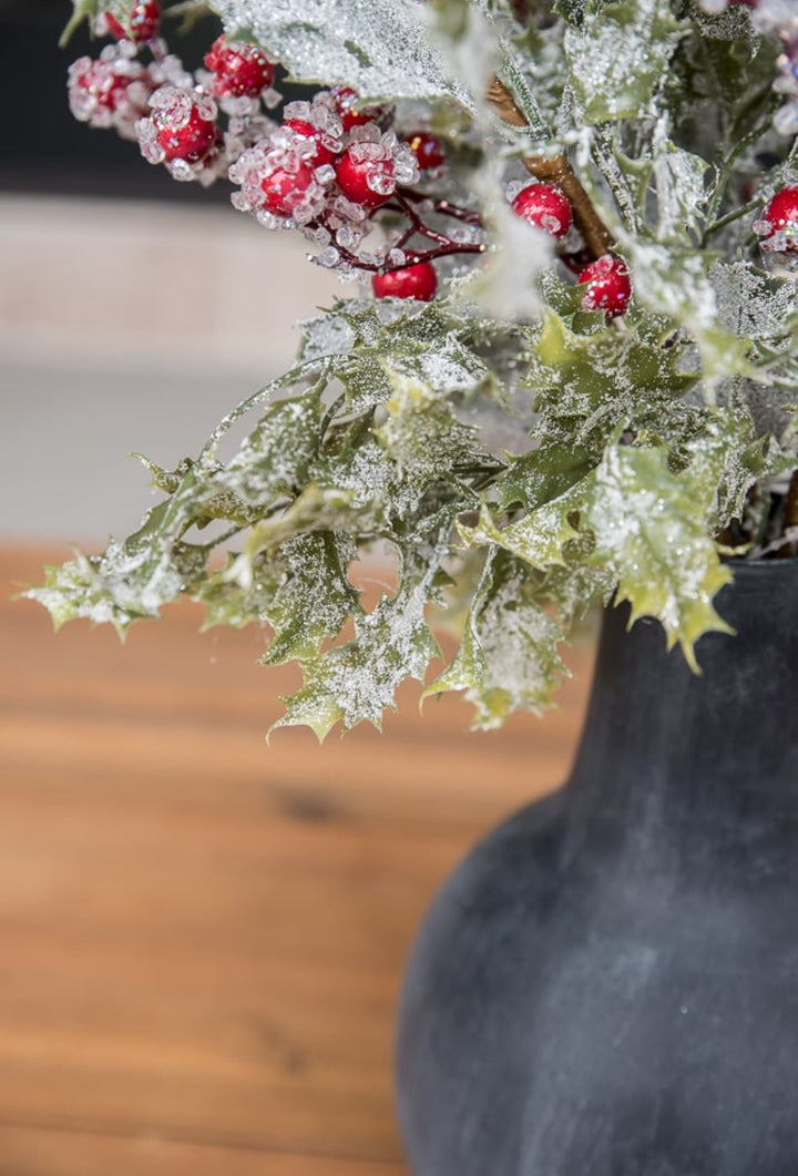 Frosted and iced Holly bush - Greenery MarketWinter and Christmas20117