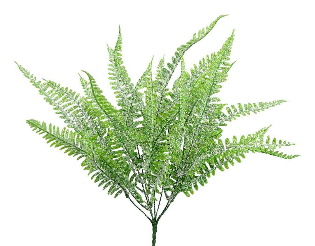 Frosted Boston Fern Bush - Greenery MarketGreenery85003FROST