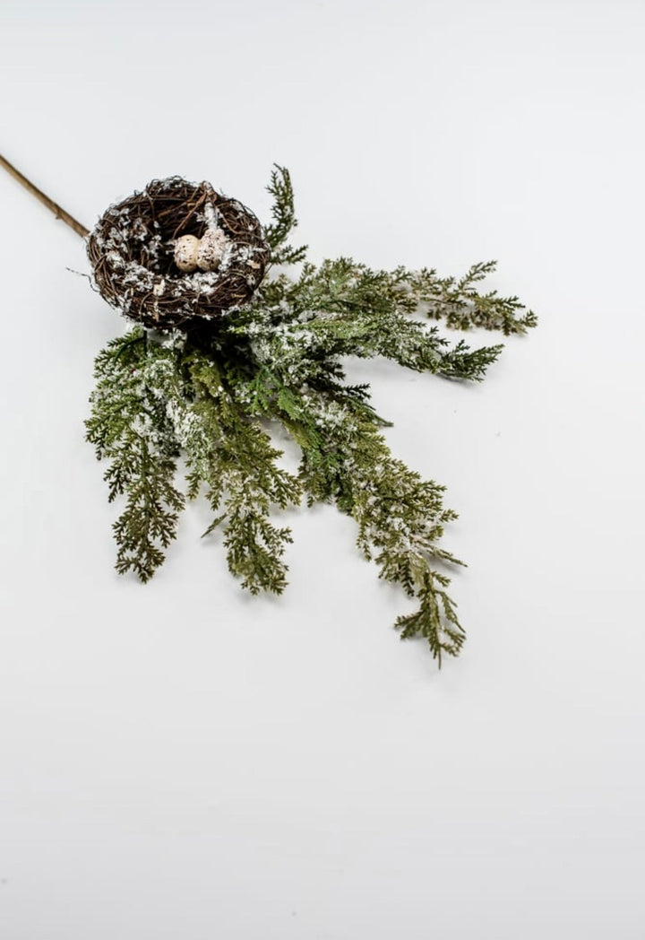 Frosted cedar with birds nest spray - Greenery MarketgreeneryMTX45511