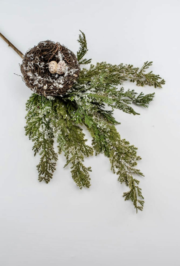 Frosted cedar with birds nest spray - Greenery MarketgreeneryMTX45511