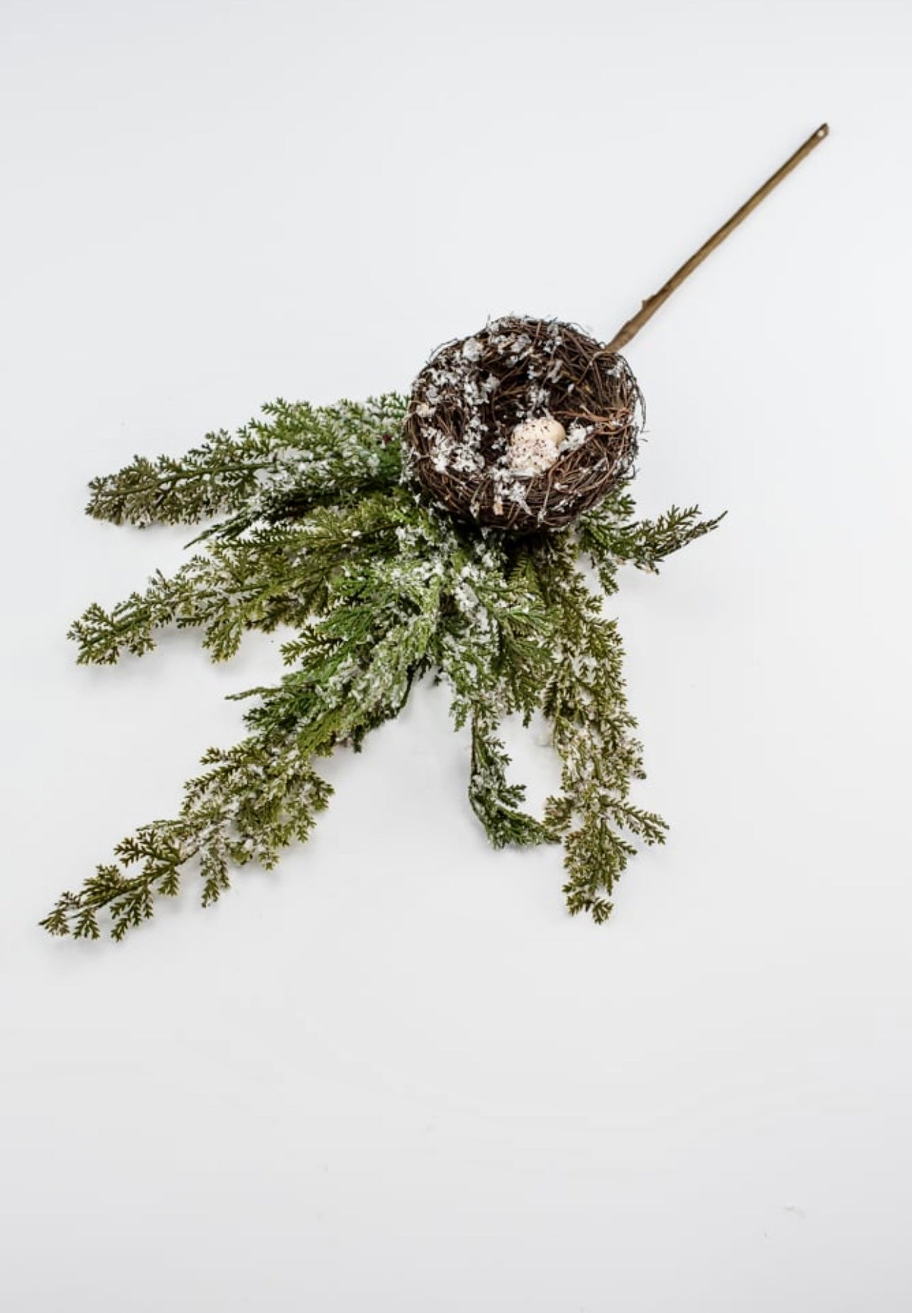 Frosted cedar with birds nest spray Greenery Market