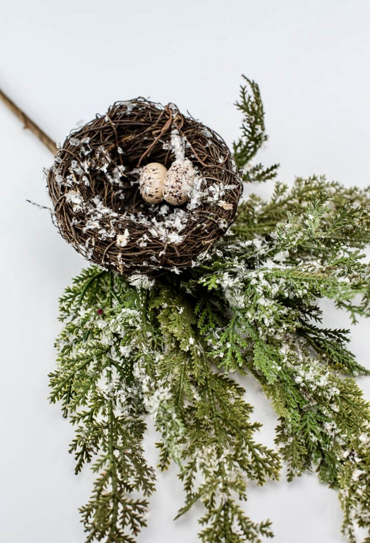 Frosted cedar with birds nest spray - Greenery MarketgreeneryMTX45511