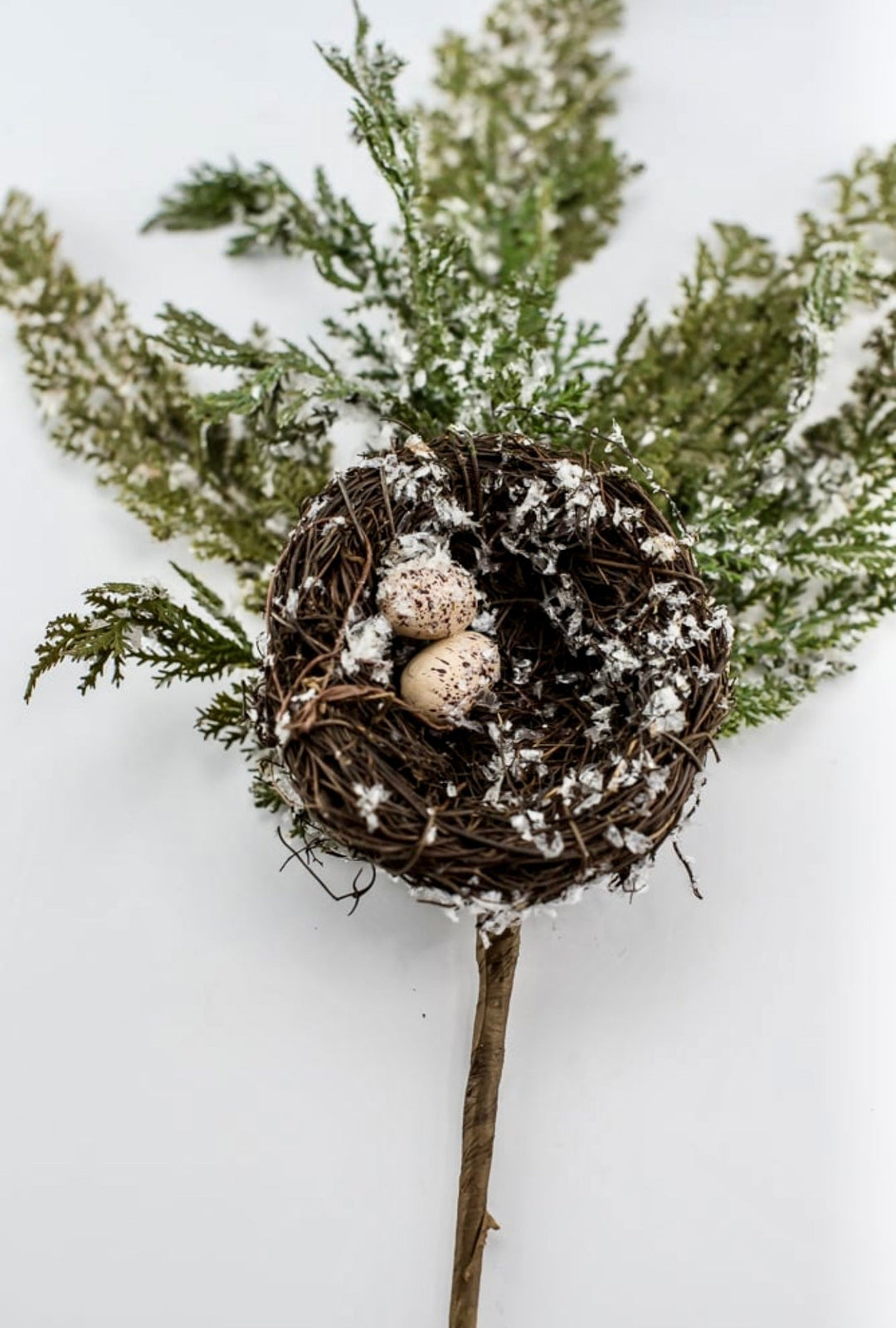 Frosted cedar with birds nest spray - Greenery MarketgreeneryMTX45511