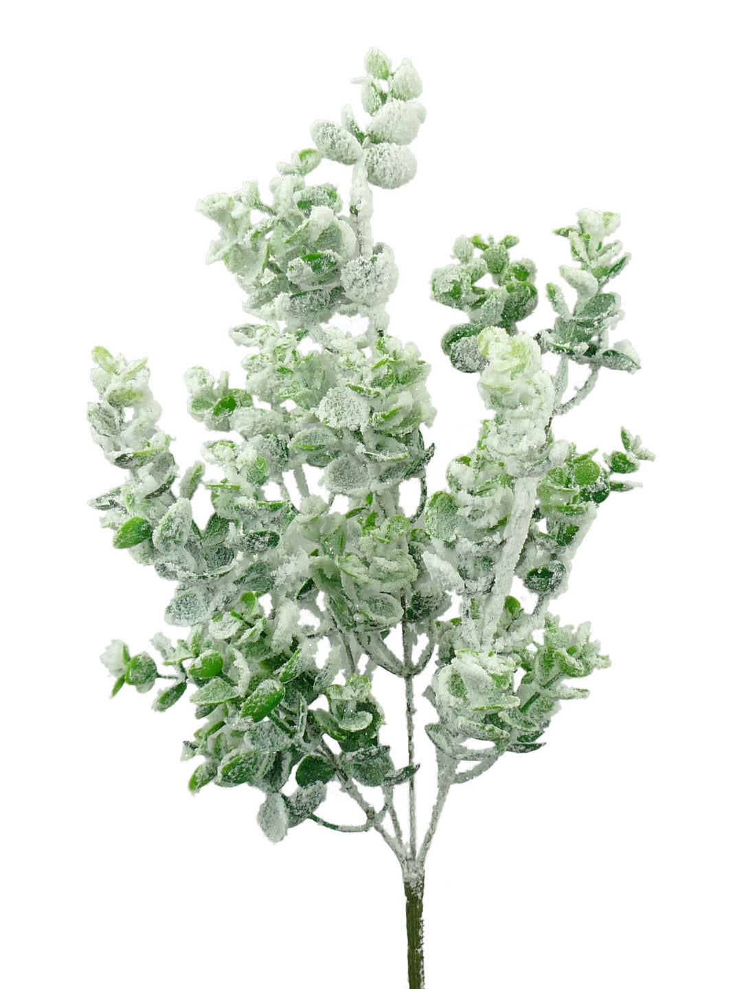 Frosted Eucalyptus Spray - Greenery MarketWreath attachments85001SNOW