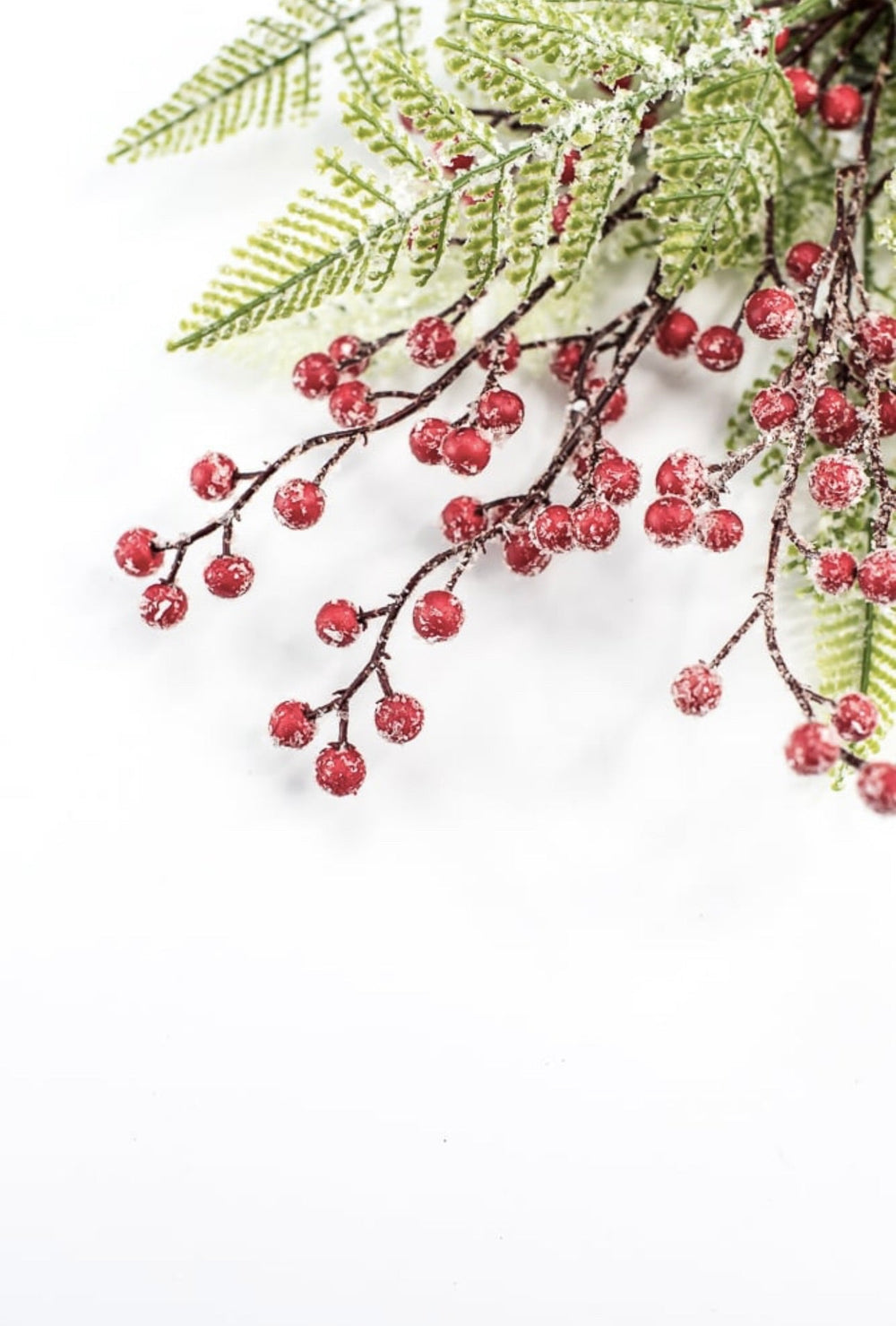 Frosted, fern and berries bush - Greenery Market216374