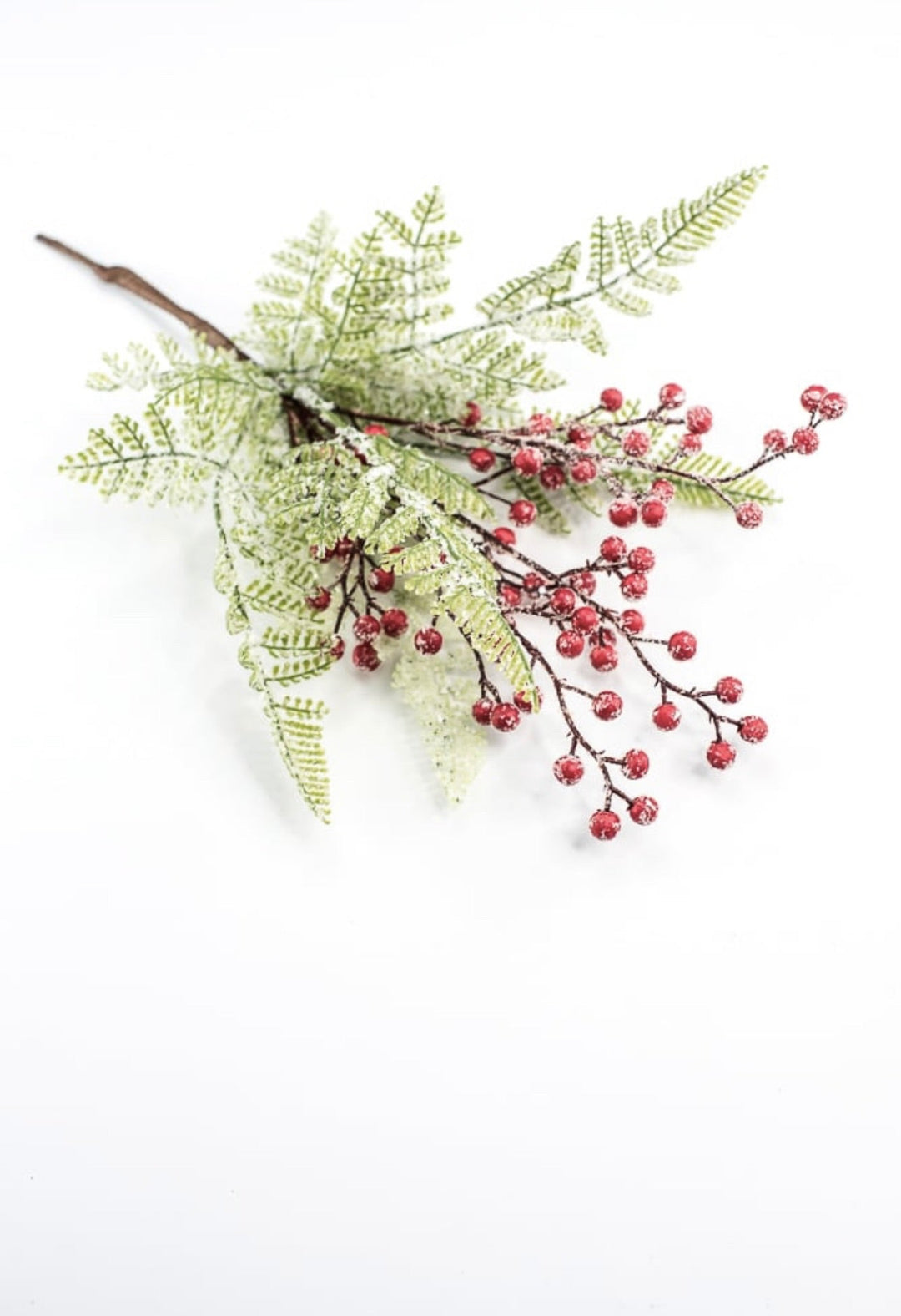 Frosted, fern and berries bush - Greenery Market216374