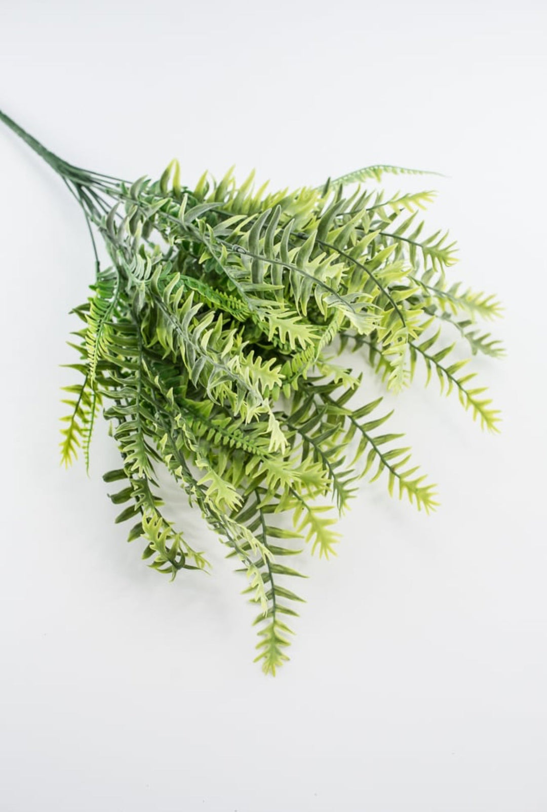 Frosted fern bush - Greenery MarketWinter and Christmas83353 - FROSTED