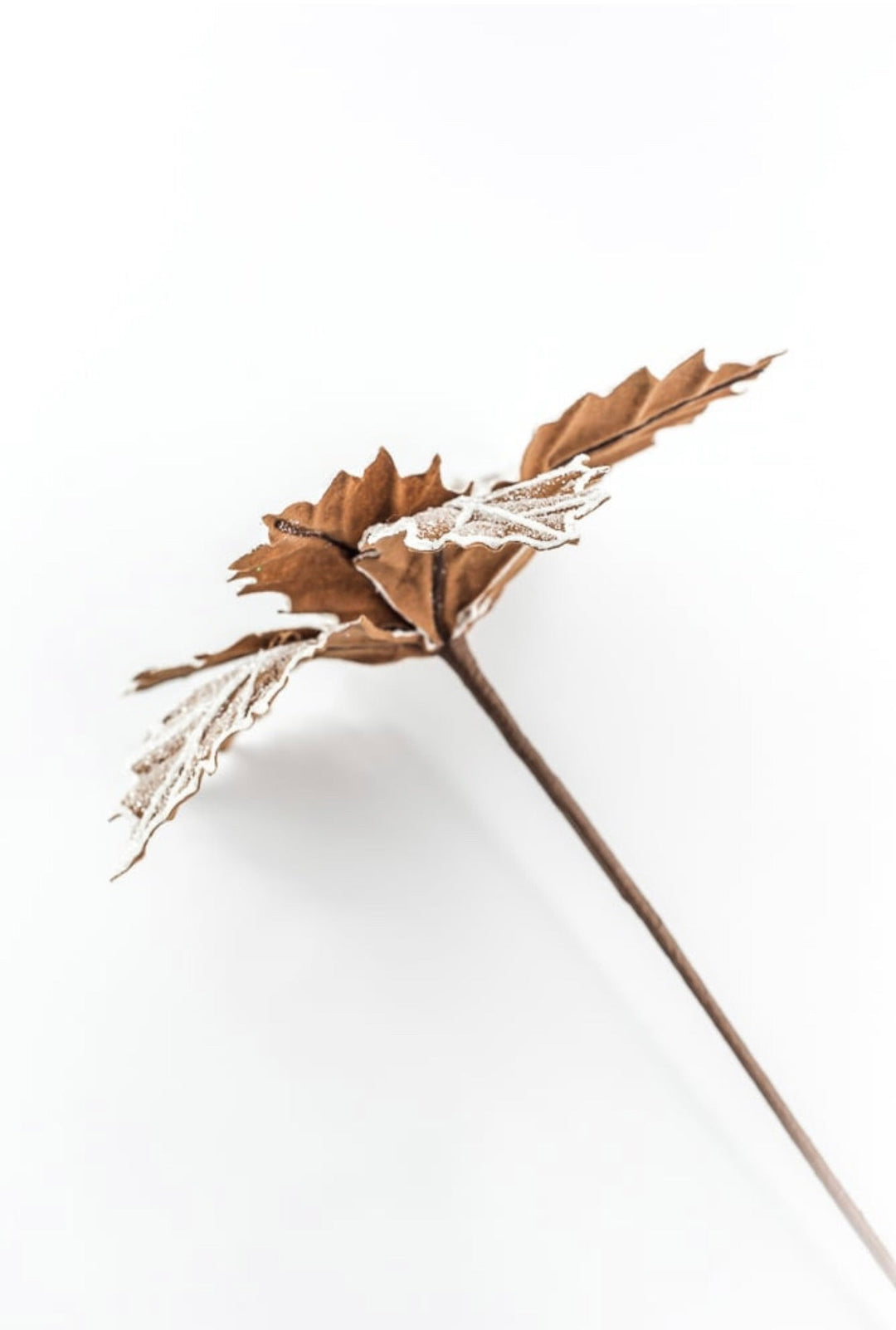 Frosted Gingerbread Poinsettia Stem - GM Exclusive - Greenery MarketGM8562FROST