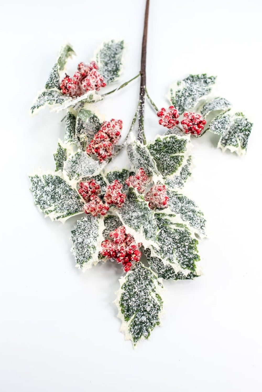 Frosted, holly spray - variegated - Greenery Market216370