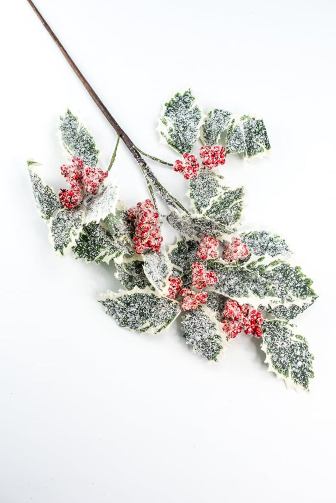 Frosted, holly spray - variegated - Greenery Market216370