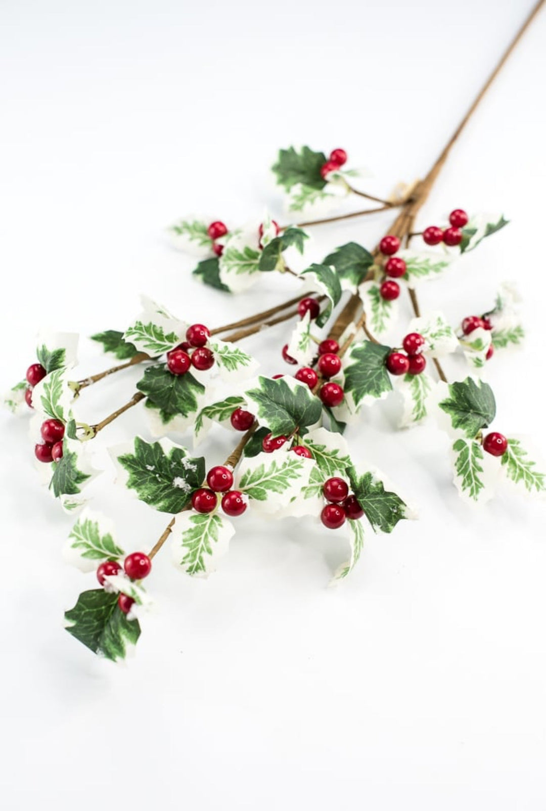 Frosted, holly spray - Greenery Market235896