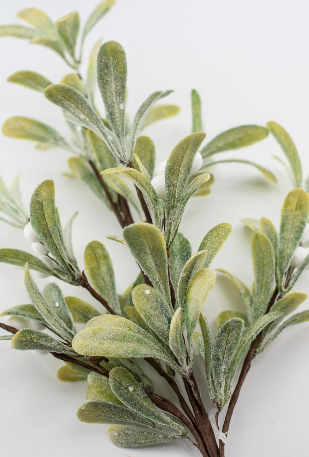 Frosted mistletoe bush 18” - Greenery MarketArtificial Flora62990