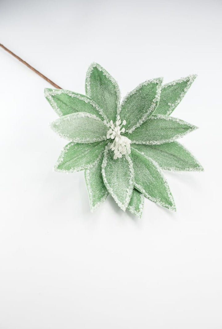 Frosted poinsettia stem - green - Greenery Market227544