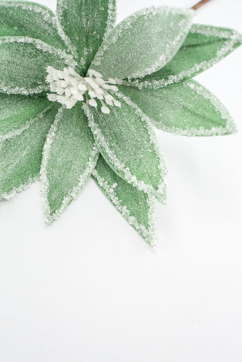 Frosted poinsettia stem - green - Greenery Market227544