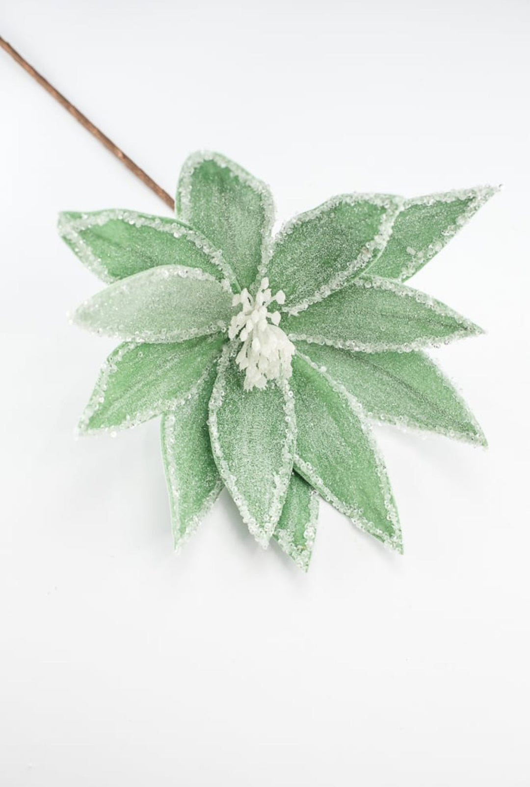 Frosted poinsettia stem - green - Greenery Market227544