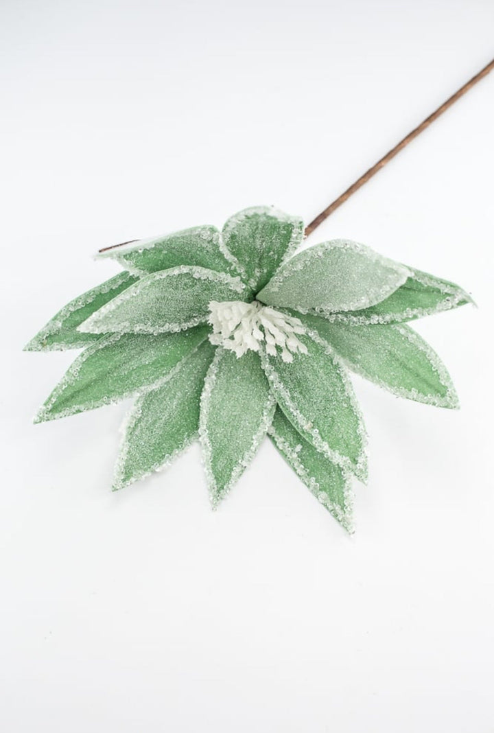 Frosted poinsettia stem - green - Greenery Market227544