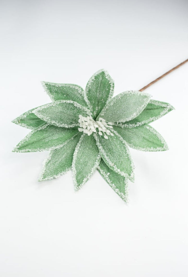 Frosted poinsettia stem - green - Greenery Market227544