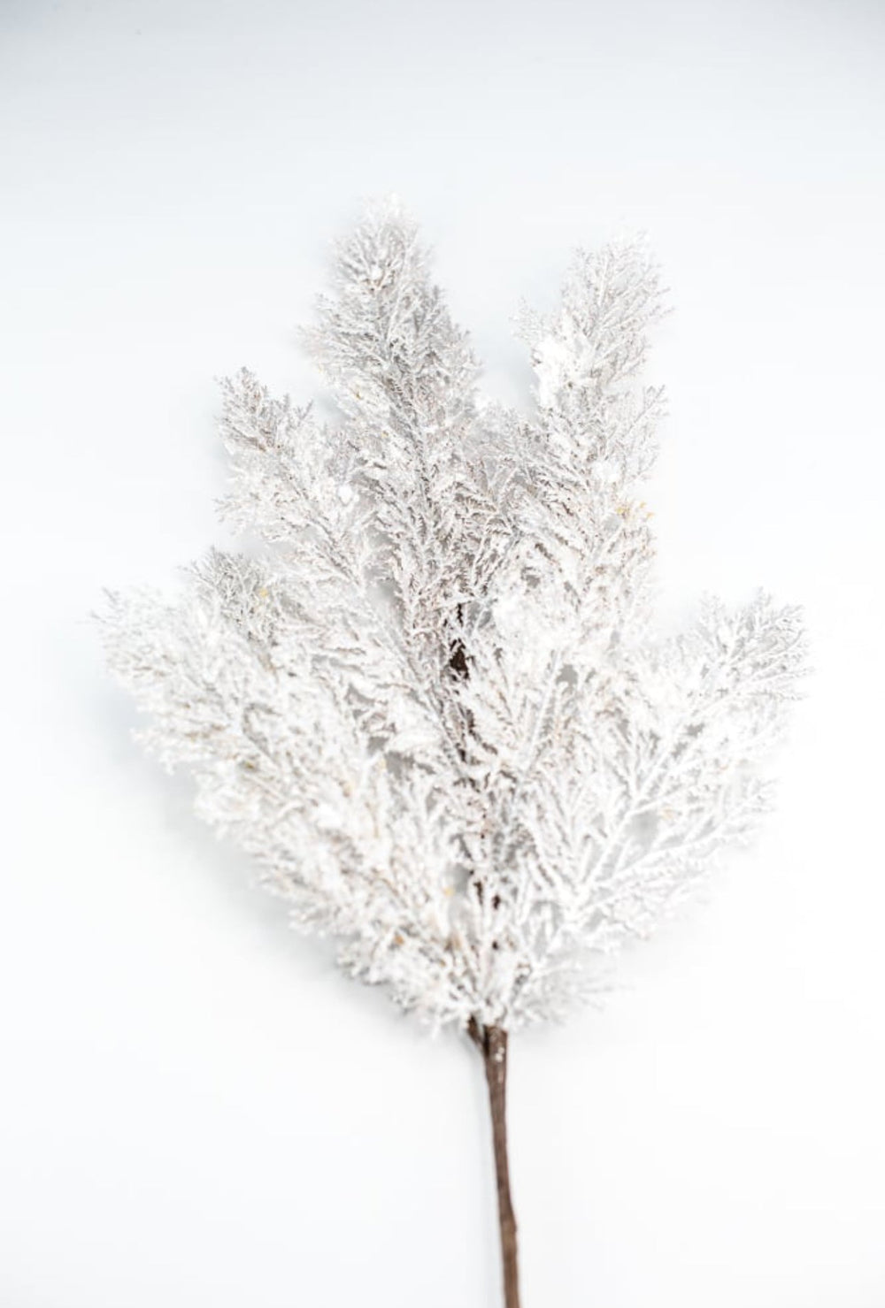 Frosted snowy cedar - Greenery Market270699