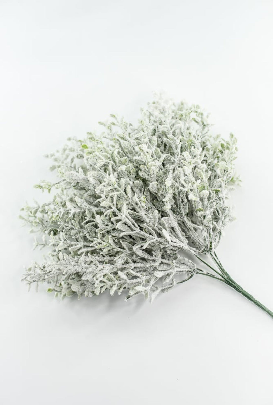 Frosted Thyme Bush - 15" - Greenery MarketX1952FROSTED