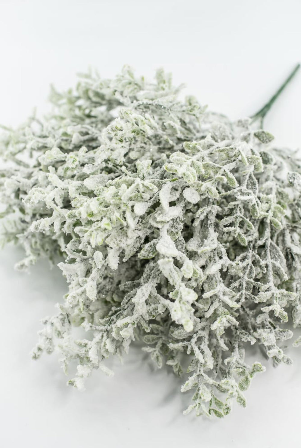 Frosted Thyme Bush - 15" - Greenery MarketX1952FROSTED