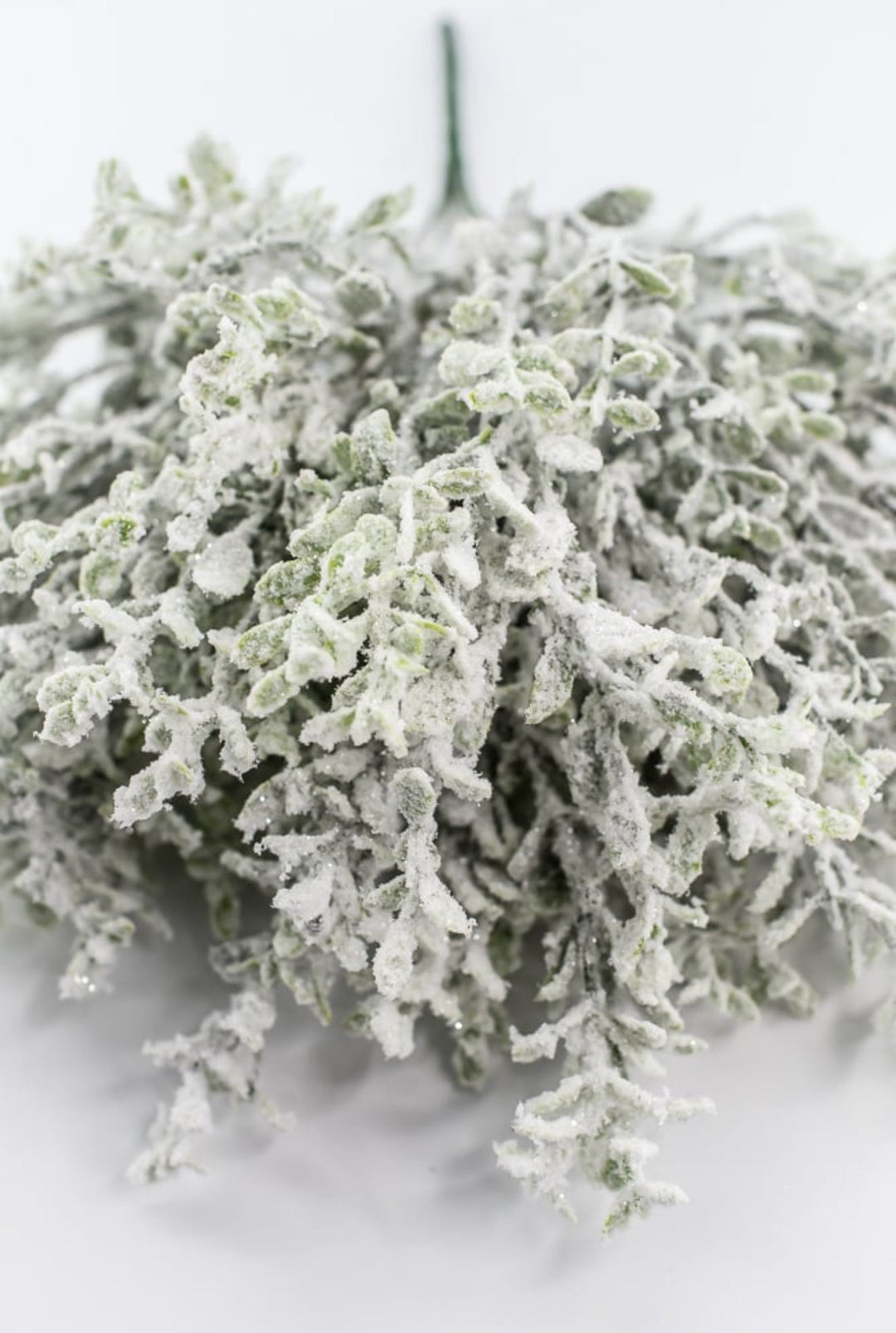 Frosted Thyme Bush - 15" - Greenery MarketX1952FROSTED