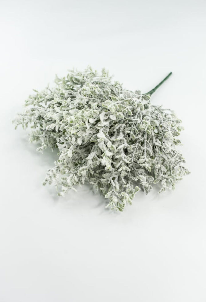 Frosted Thyme Bush - 15" - Greenery MarketX1952FROSTED