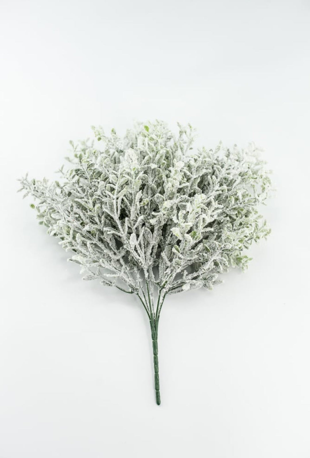 Frosted Thyme Bush - 15" - Greenery MarketX1952FROSTED