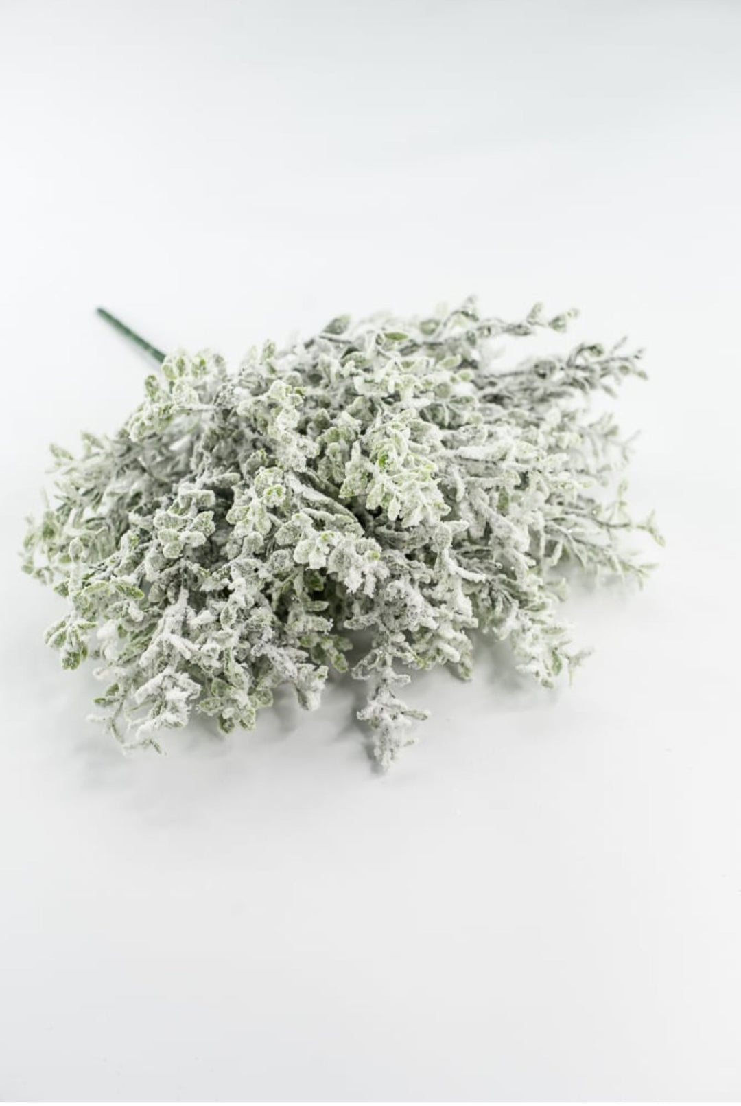 Frosted Thyme Bush - 15" - Greenery MarketX1952FROSTED