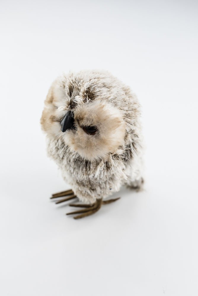 Furry Decor Owl Ornament - Greenery Market85860BN
