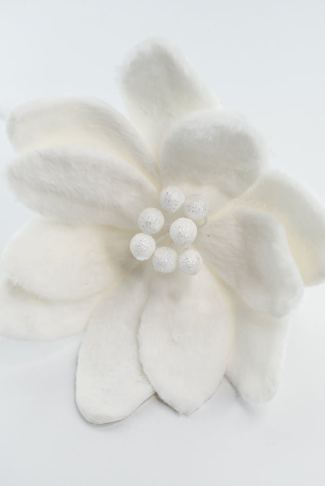 Furry Magnolia Stem - GM Exclusive - Greenery MarketGM332409