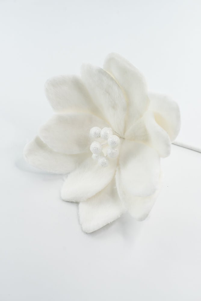Furry Magnolia Stem - GM Exclusive - Greenery MarketGM332409