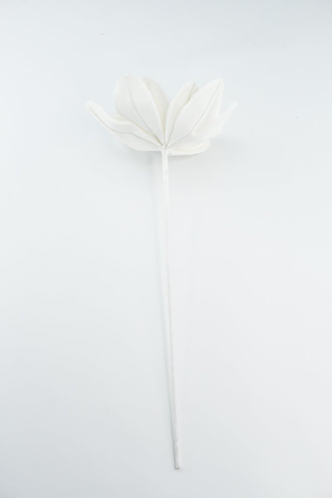 Furry Magnolia Stem - GM Exclusive - Greenery MarketGM332409