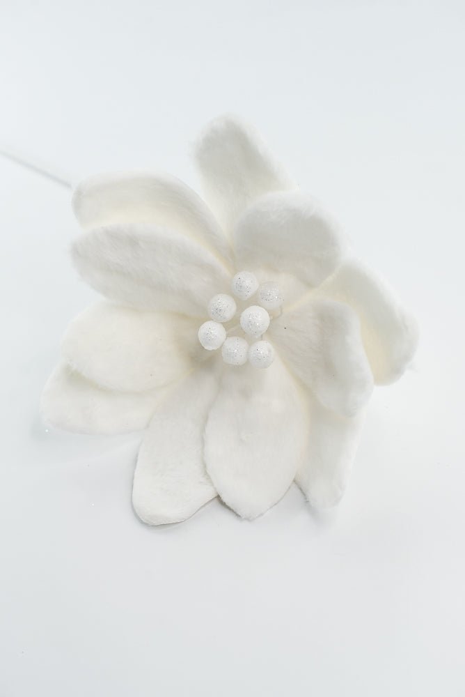 Furry Magnolia Stem - GM Exclusive - Greenery MarketGM332409