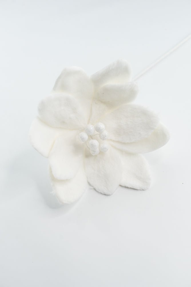 Furry Magnolia Stem - GM Exclusive - Greenery MarketGM332409