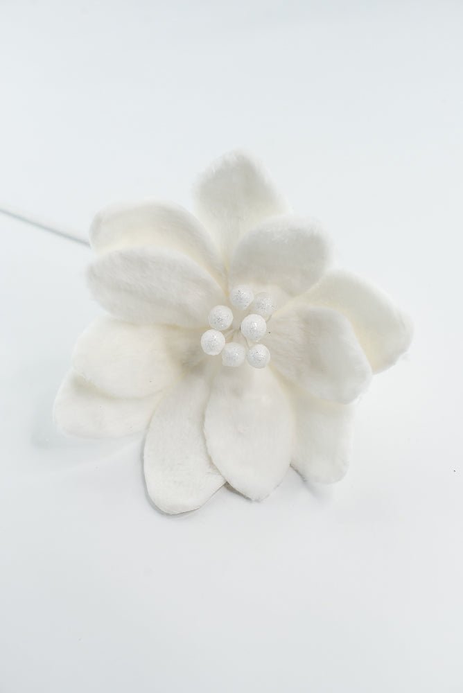 Furry Magnolia Stem - GM Exclusive - Greenery MarketGM332409