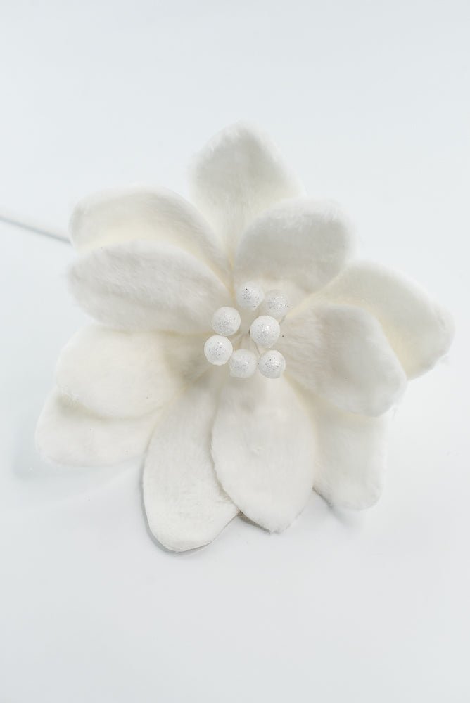 Furry Magnolia Stem - GM Exclusive - Greenery MarketGM332409