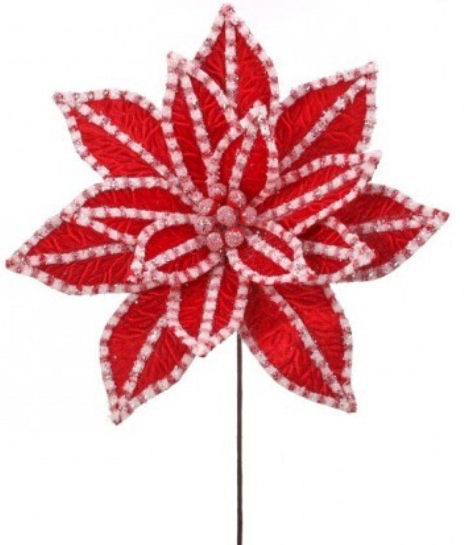 Giant, red and white, snow glitter poinsettia - Greenery MarketMTX73418 RDWH