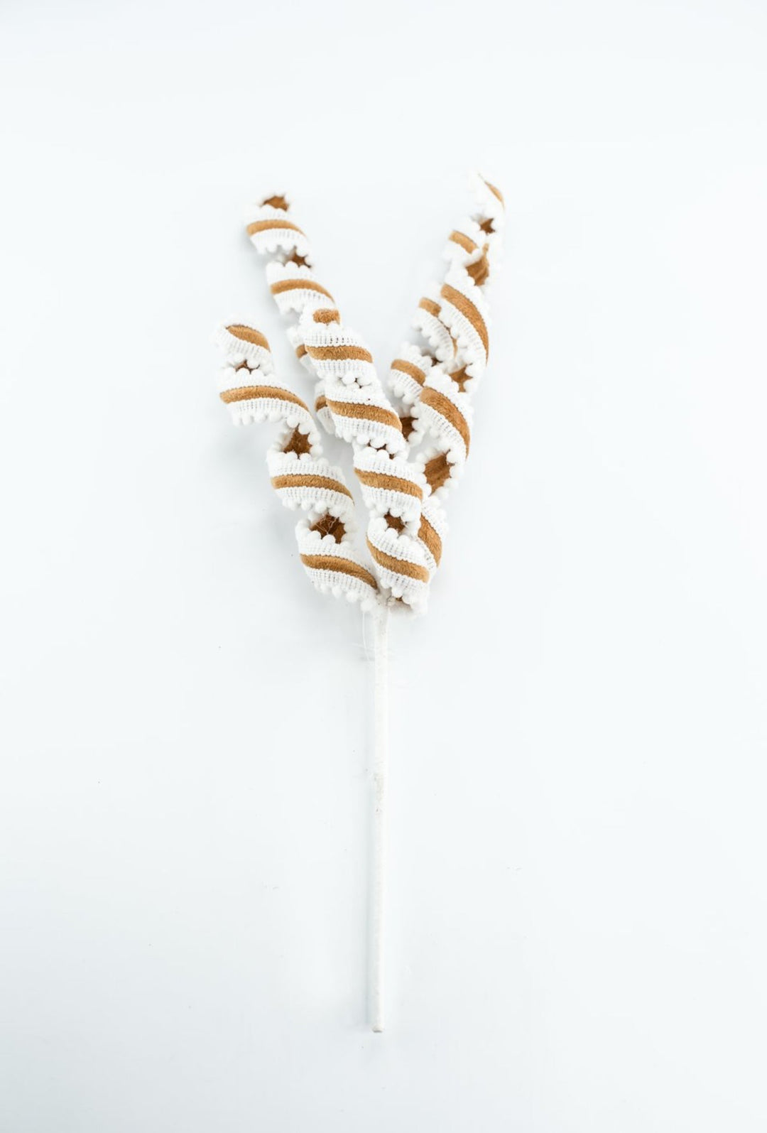 Gingerbread Curly Spray - Greenery Market86447BN