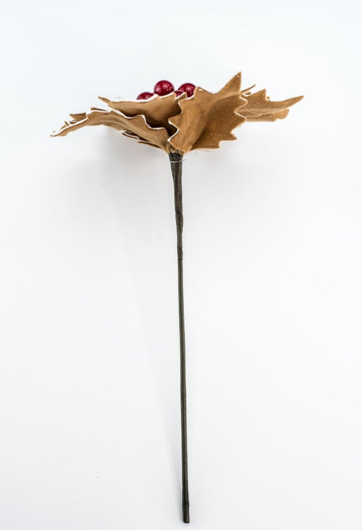 Gingerbread poinsettia stem with red berries - Greenery MarketXS3953