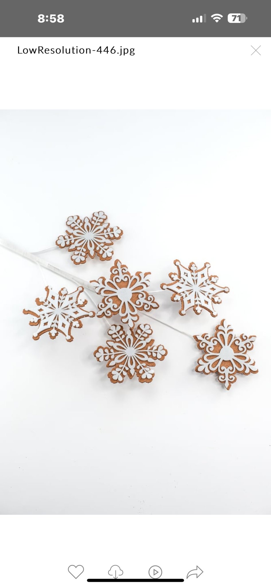 Gingerbread snowflake spray - Greenery MarketMTX70400