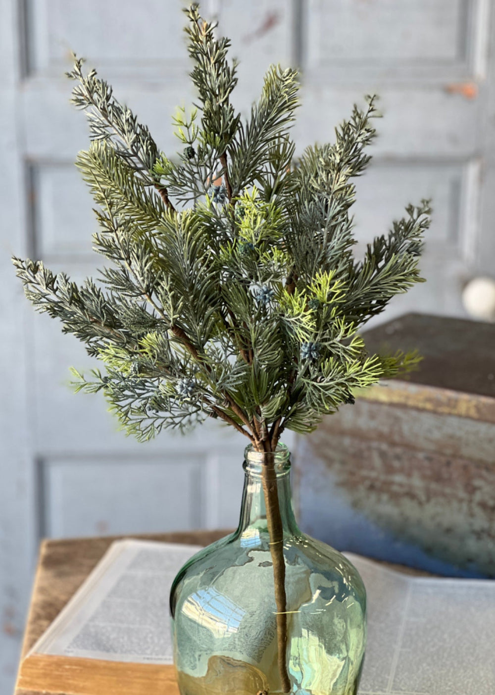 Glacier green pine and cone bush - Greenery MarketXM6097