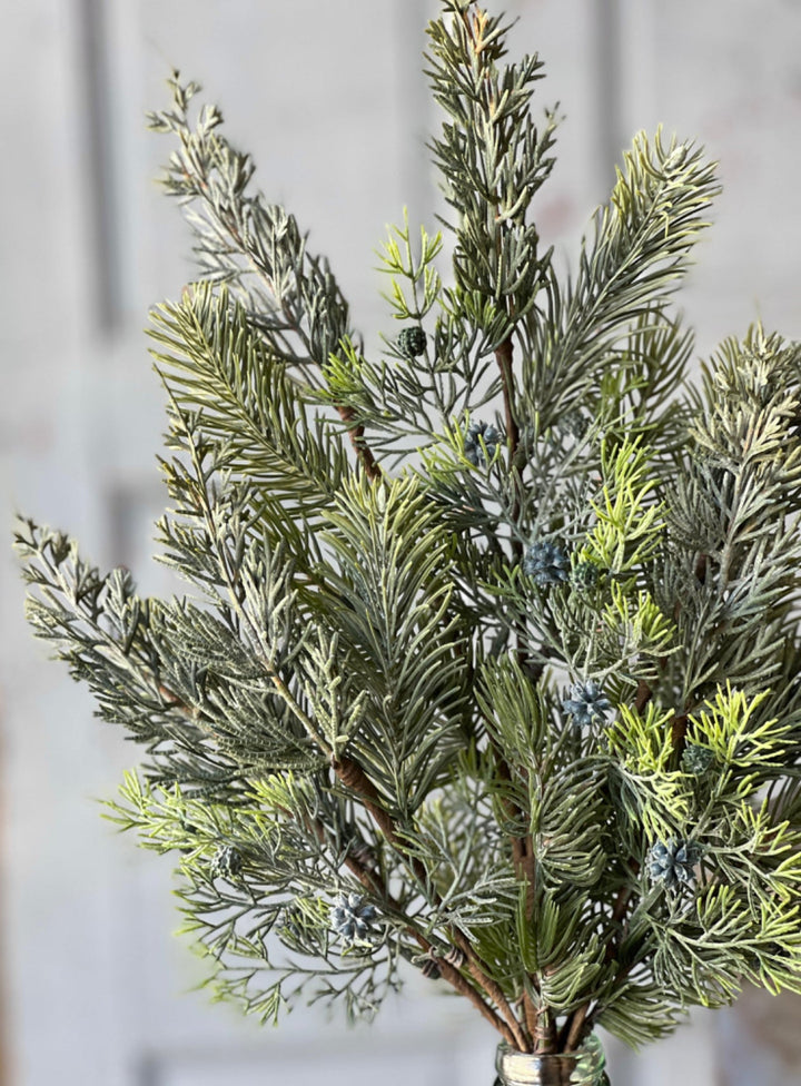 Glacier green pine and cone bush - Greenery MarketXM6097