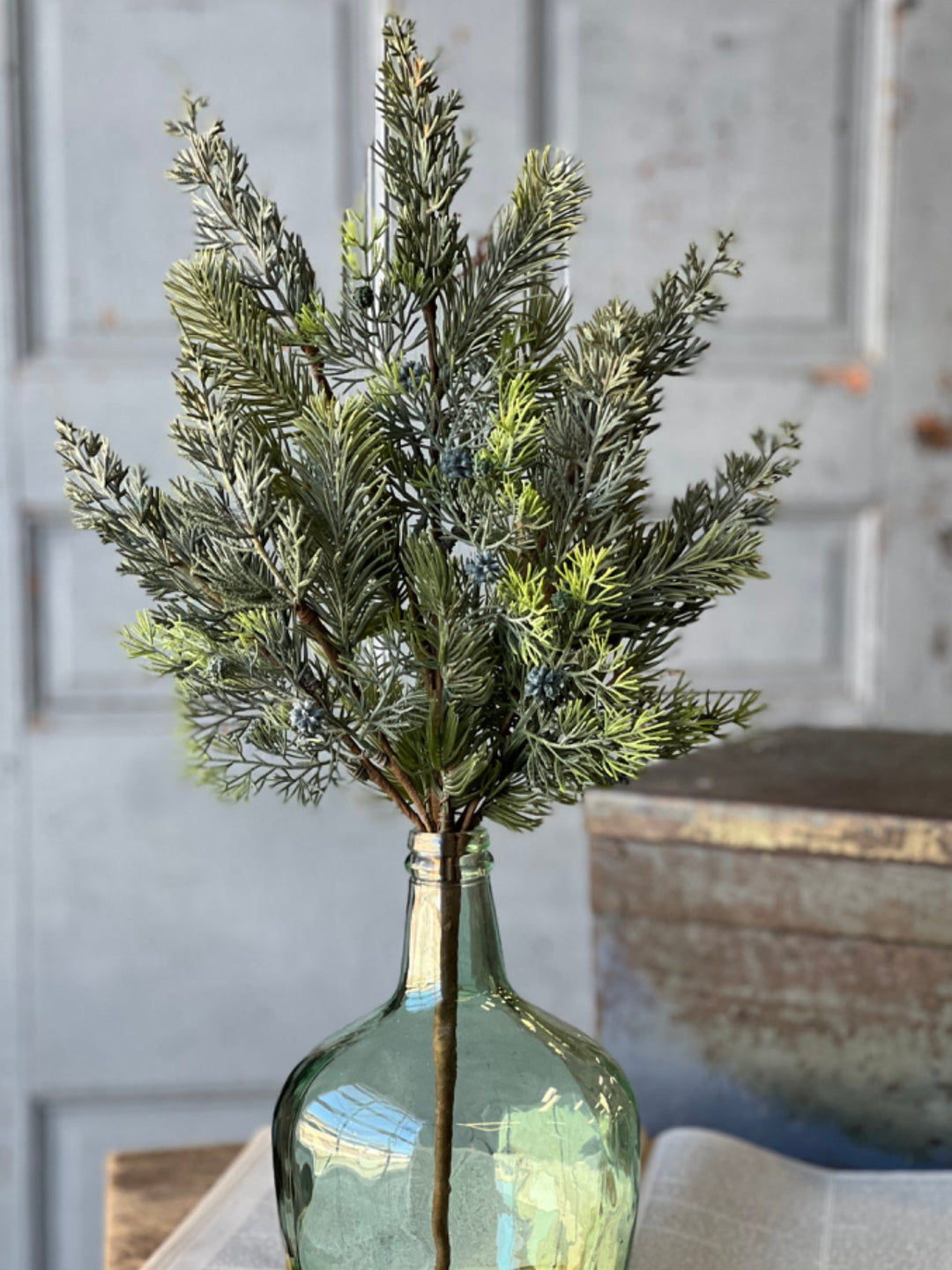 Glacier green pine and cone bush - Greenery MarketXM6097