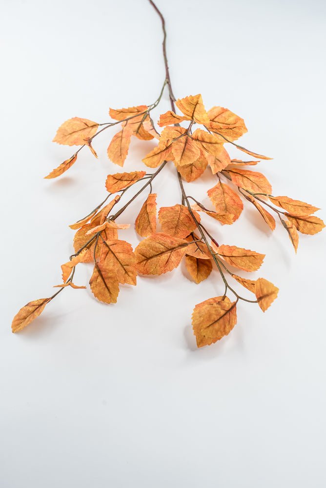 Gold Beech Leaf Spray - 35" - Greenery MarketFL7135GO
