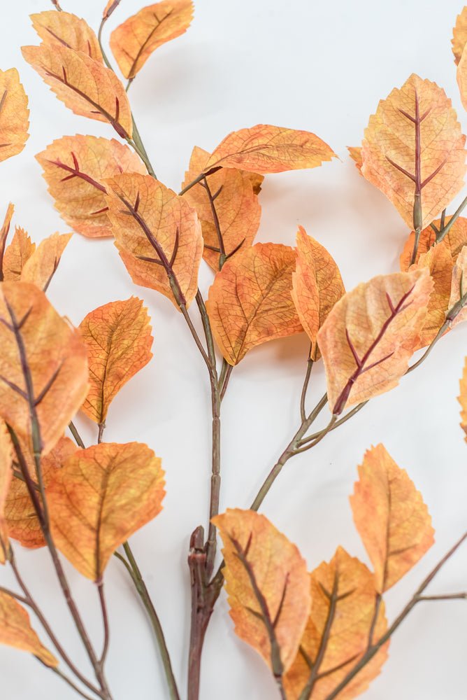 Gold Beech Leaf Spray - 35" - Greenery MarketFL7135GO