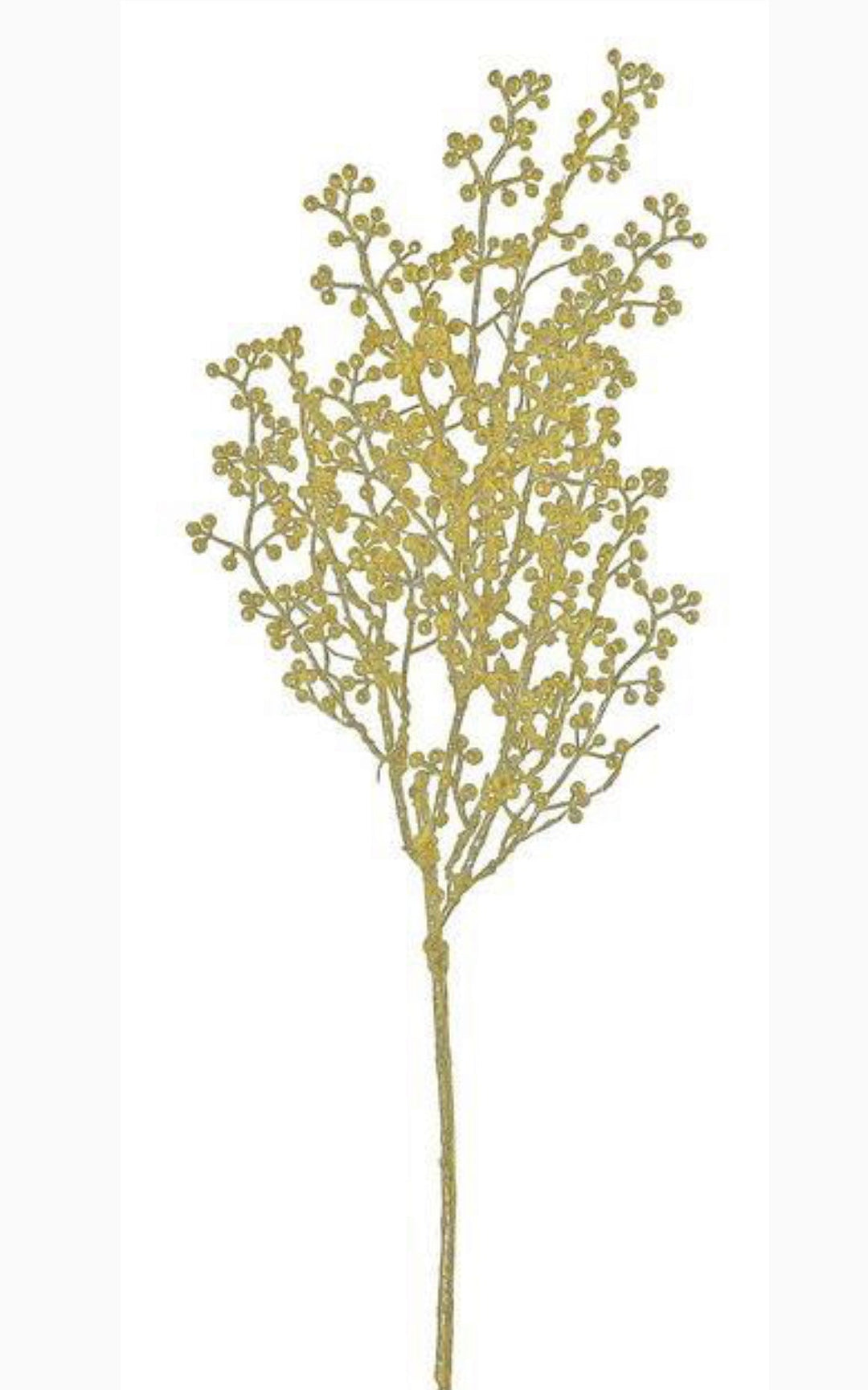 Gold glittered Seed spray - Greenery MarketXg447 - go