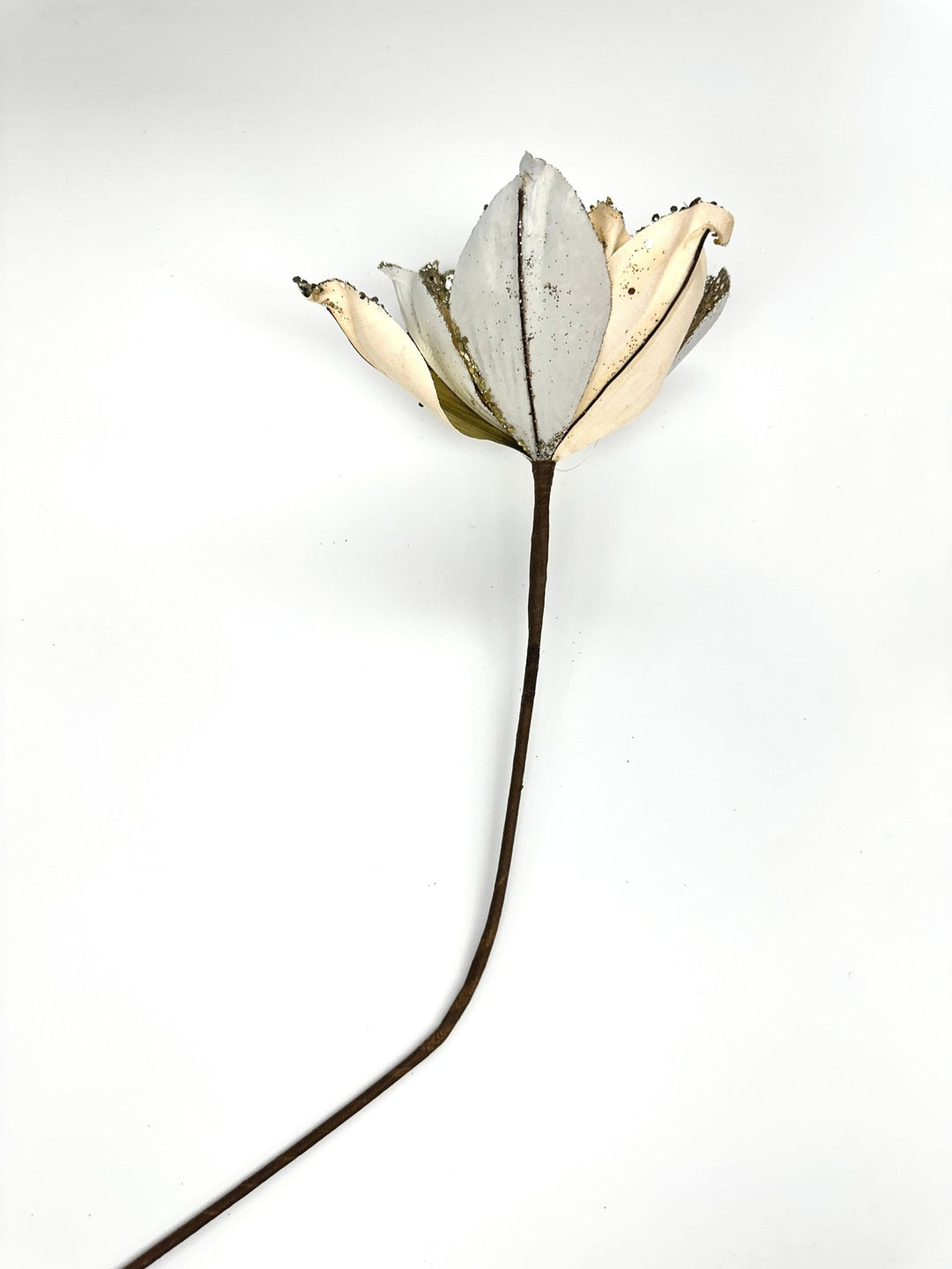 Gold magnolia stem - Greenery Market84560